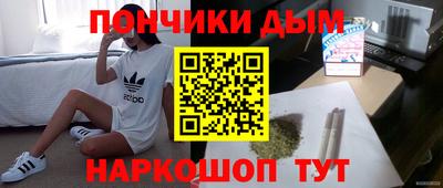 альфа пвп Новодвинск